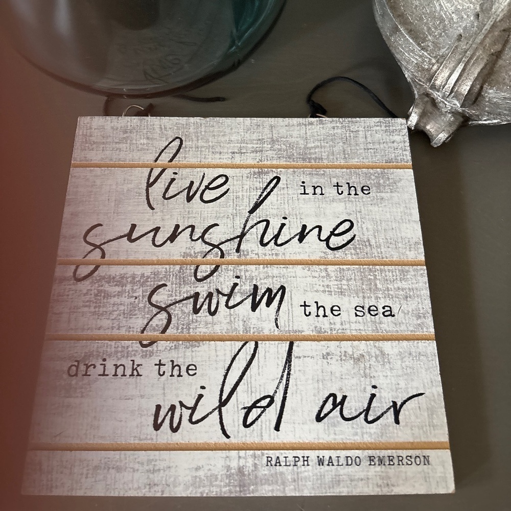 Wild air live in sunshine swim in the sea drink the wild air plaque Emerson